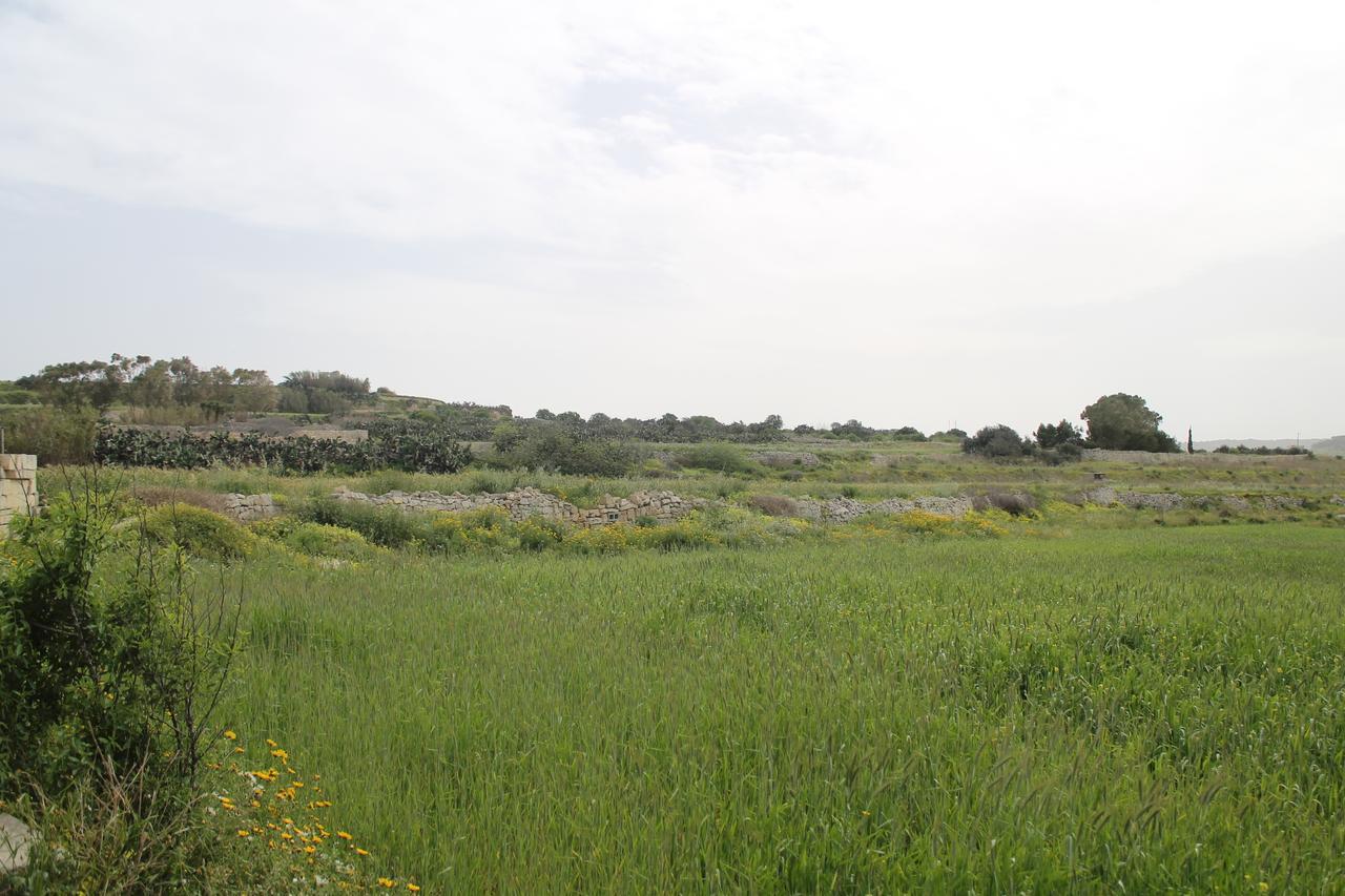 Whitestar Guesthouse Salina Kültér fotó